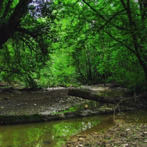 تور نمک آبرود