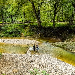 تور طعم سوادکوه
